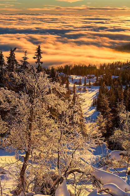 Winter mountains