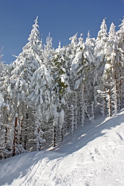 Winter mountains