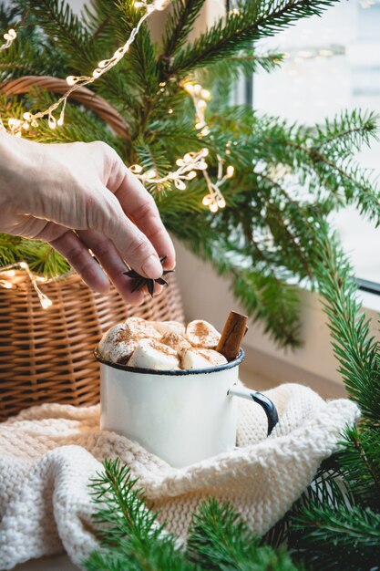 Winter mug of chocolate with marshmallow,