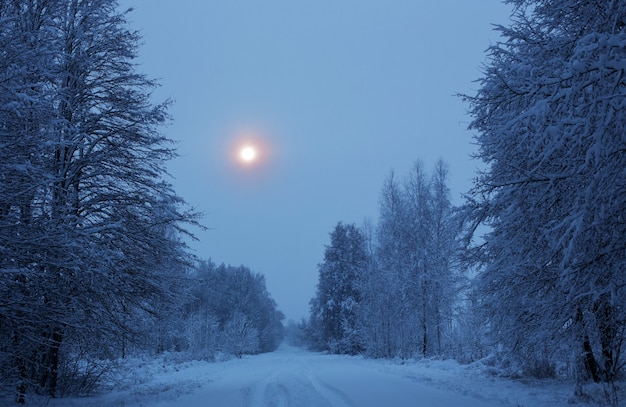 Winter nacht besneeuwde landschap met bomen