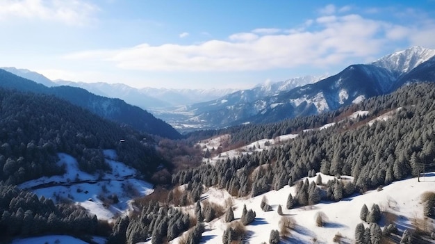 winter natural landscape in georgia in february