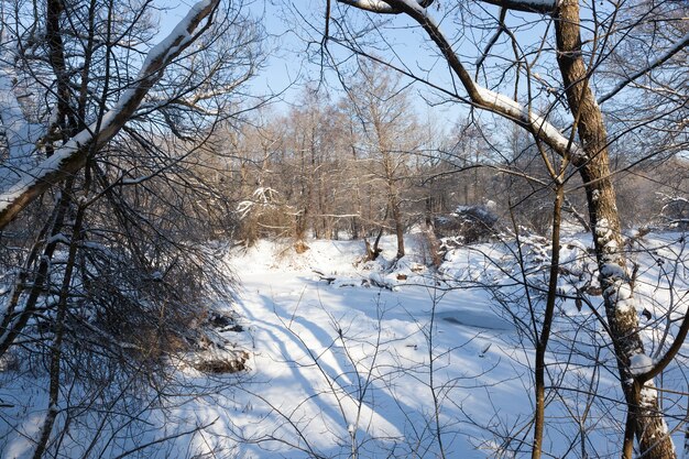 Natura invernale