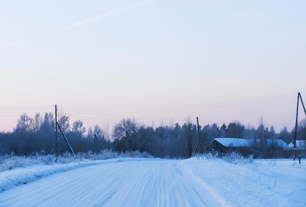 Winter natuurdetails op het platteland