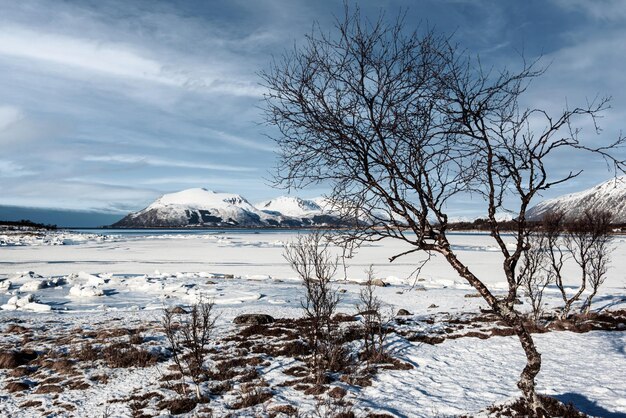 Winter Norway LANDSCAPE