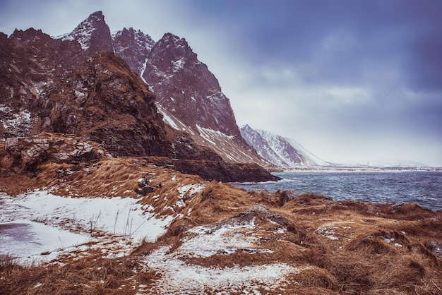 Winter Norway sea