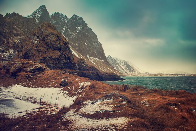 Winter Norway sea