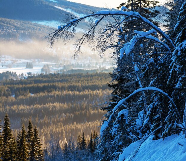 Winter in Norway