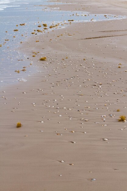 Winter op het strand van South Padre Island.