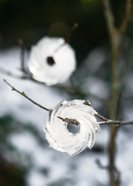 사진 밖의 나무 가지에 매달린 미니 트 모양의 겨울 야외 얼음 장식