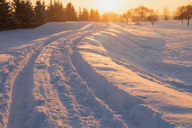 森の雪に覆われた木々と新しい日の日の出冬の朝の冬のパノラマ風景