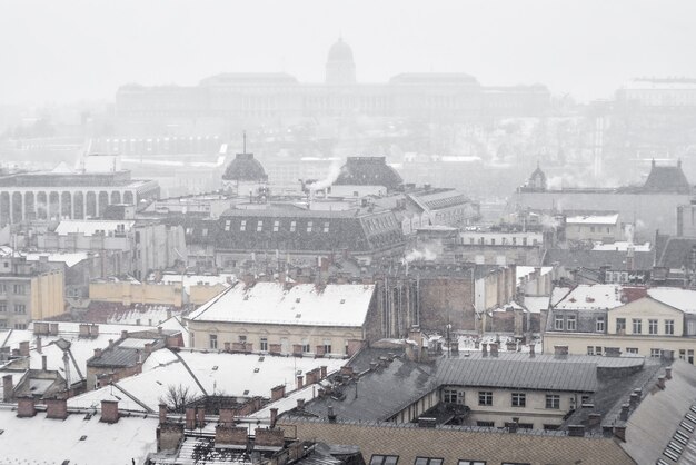 Winter panorama van Boedapest