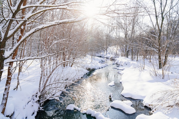 Winter park nel pomeriggio.