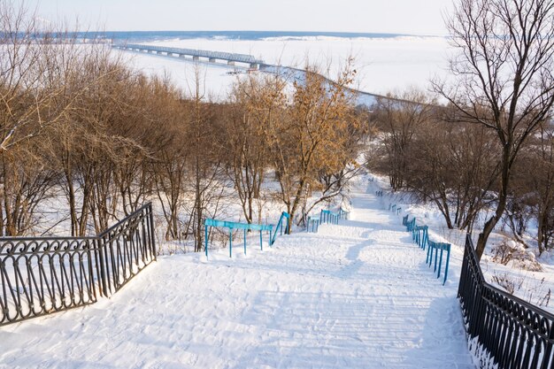 ウィンターパーク。路地の王冠。雪の背景。