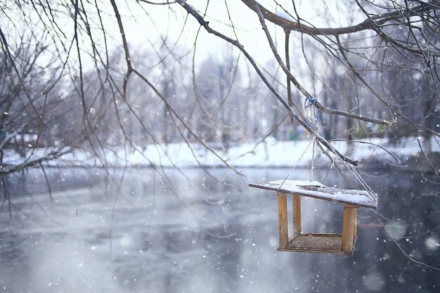 winter park, cityscape in winter weather / landscape snow, city, trees in a city park in the north