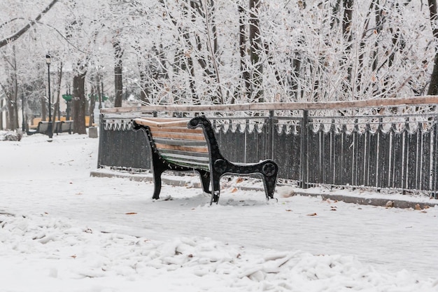 Winter park covered with snow and hoarfrost