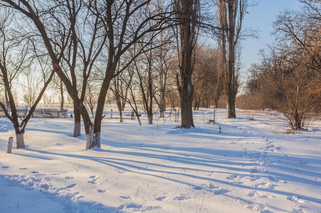 Зимний парк, покрытый белым снегом