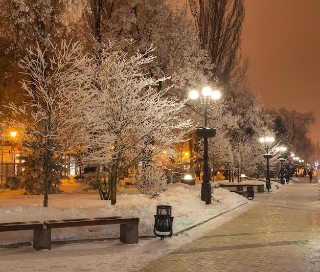 Winter park in the evening covered with snow