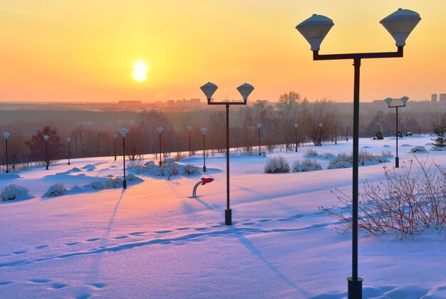 Winter park la sera lampioni tra cumuli di neve in un parco alla periferia della città