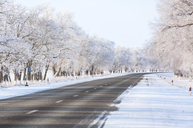 Winter park in the snow. Road in the snow. Winter landscape.