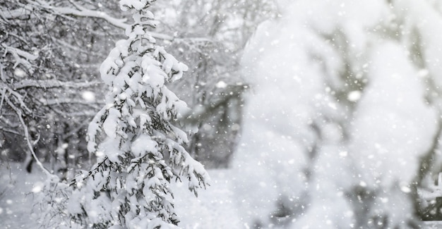 雪の中のウィンターパーク。都市公園で吹雪。雪に覆われた家族全員で散歩できる公園。