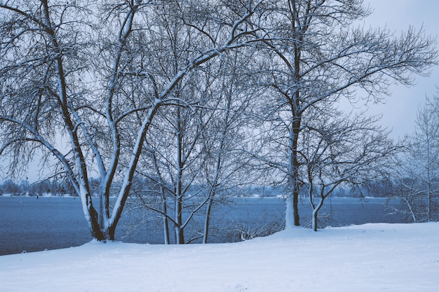 雪の中で冬の公園