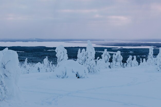 winter park with lake view in Lapland, Finland