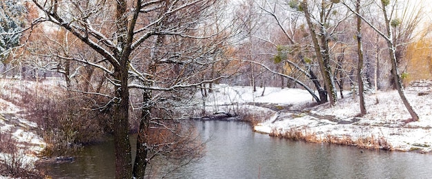 池の近くの雪に覆われた木々のある冬の公園 湖のほとりに最初の雪が降る