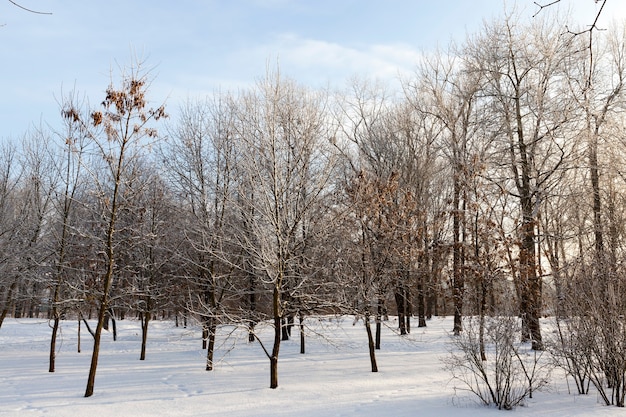 Parco invernale