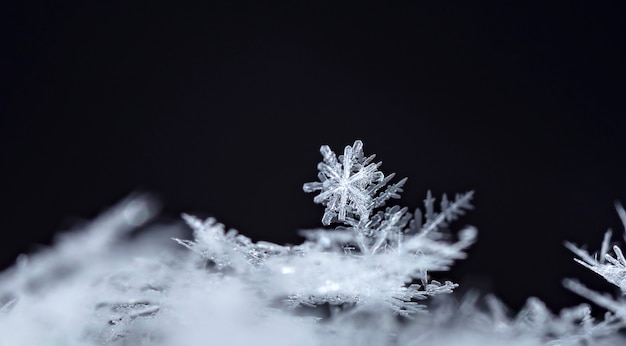 winter photo of snowflakes in the snow