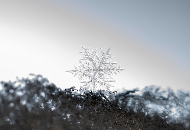 winter photo of snowflakes in the snow