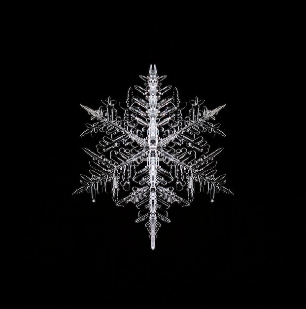 winter photo of snowflakes in the snow