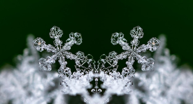 winter photo of snowflakes in the snow