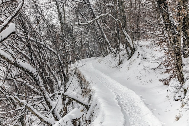 Laghi di plitvice d'inverno