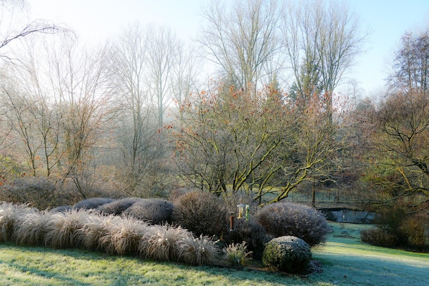 Winter at the pond in natural beautiful garden