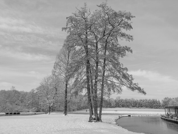 winter in reafeld