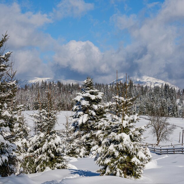 Winter remote alpine mountain village outskirts countryside hills groves and farmlands