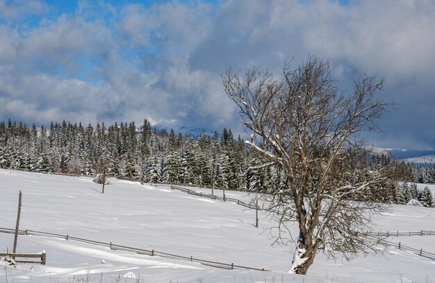 Inverno remoto alpino villaggio di montagna periferia campagna colline boschetti e terreni agricoli