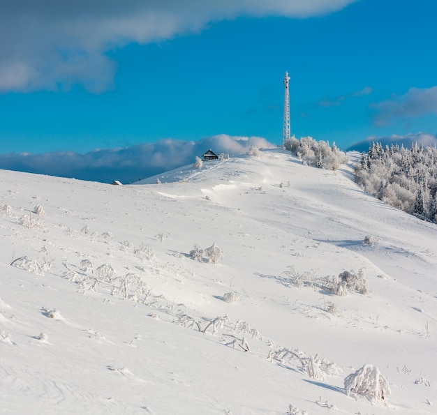 Winter rijm frosting bomen toren en sneeuwbanken Karpaten Oekraïne