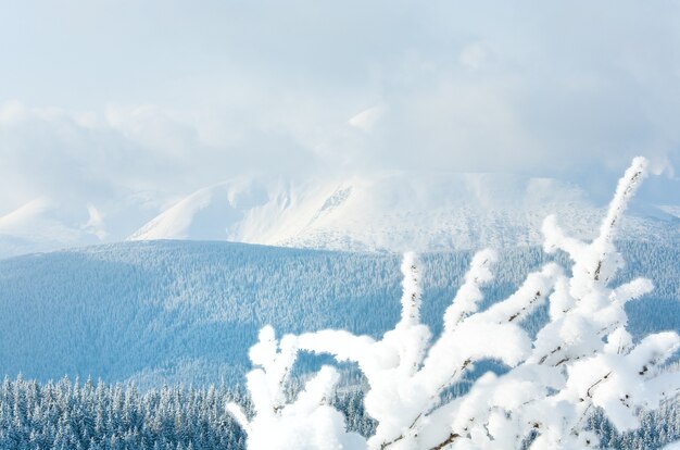 Winter rime and snow covered tree twigs on mountain with overcast sky background