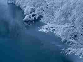 Photo winter river edge