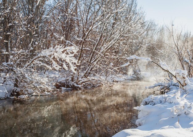 Winter river and trees in season