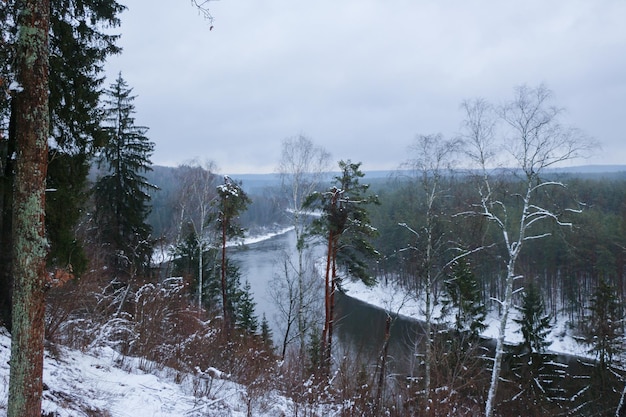 Winter rivier- en boslandschap