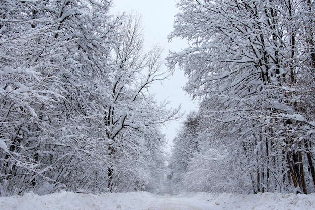 Winter road after snowfall