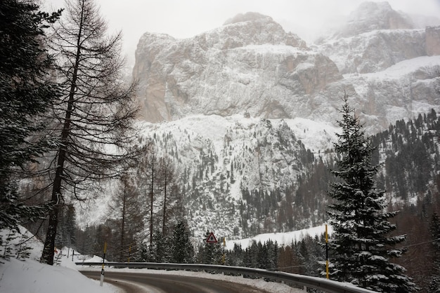 Photo winter road among forest in dolomite mountains italy