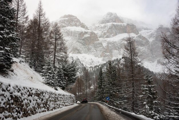 Photo winter road among forest in dolomite mountains italy