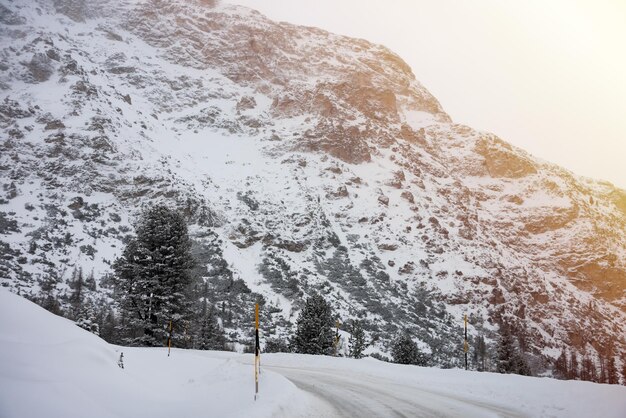 写真 イタリアのドロミット山脈の森の中の冬の道路