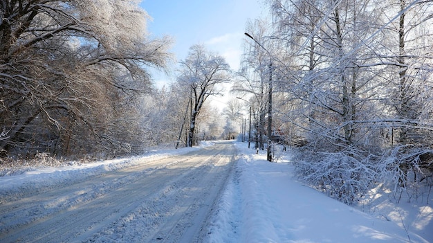 晴れた霜の降りた日に村で完全に雪で覆われた冬の道。