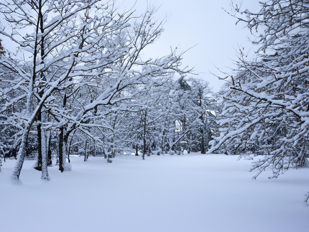 Photo winter road covered in snow