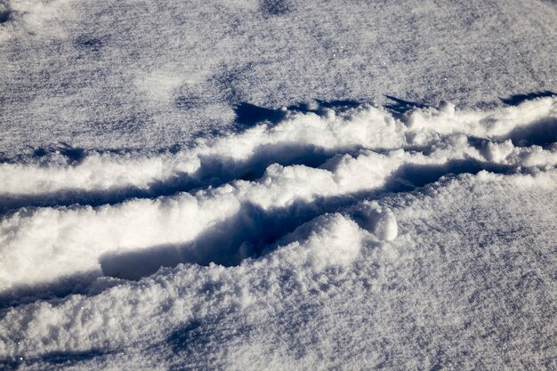 Strada invernale per la guida di auto nella stagione invernale, coperta di neve dopo la nevicata