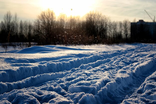 Winter road field alley